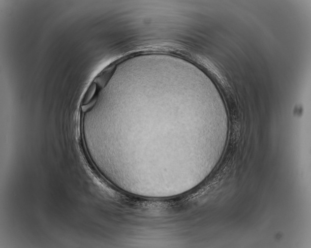 X0000097901079200804041432