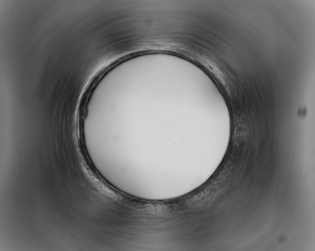 X0000097901080200804041432