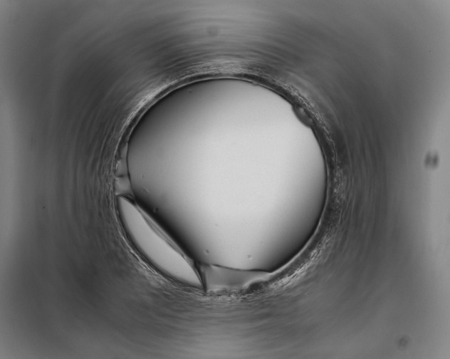 X0000097901081200804041432