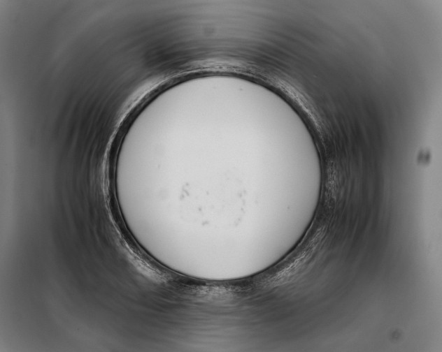 X0000097901082200804041432