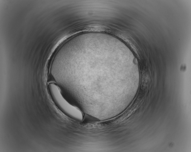 X0000097901083200804041432