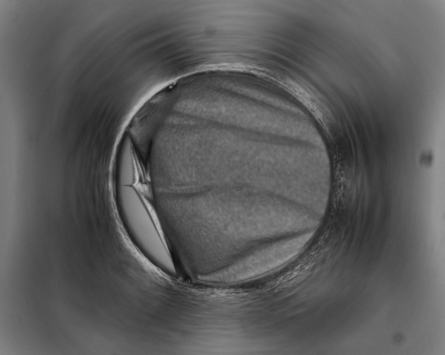 X0000097901084200804041432