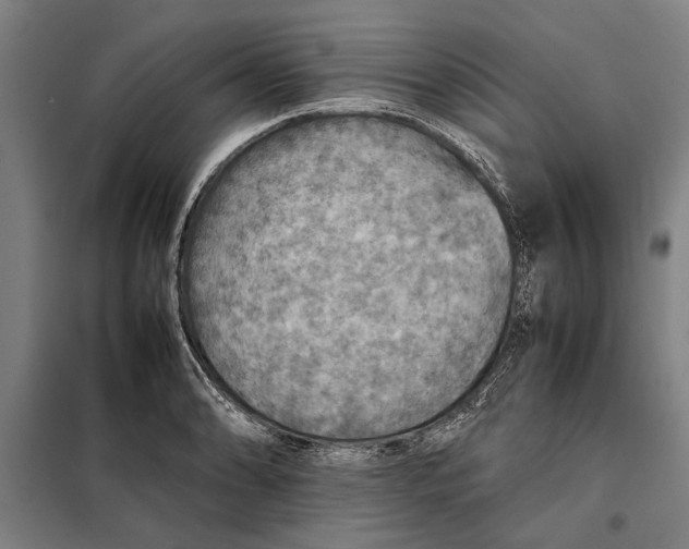 X0000097901086200804041432