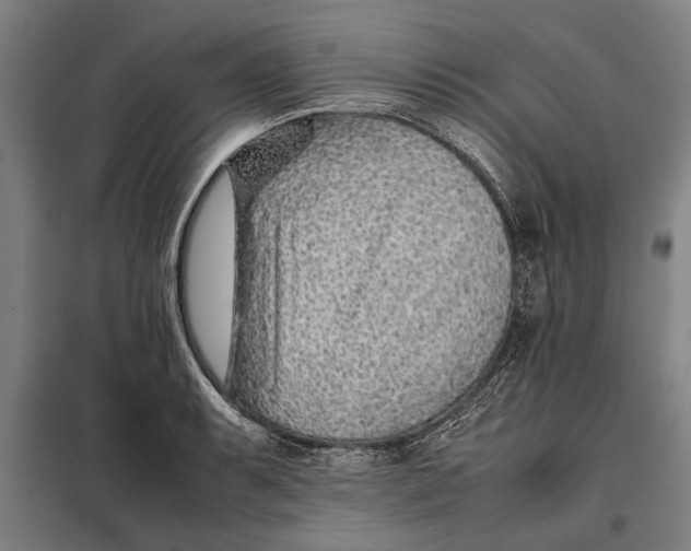 X0000097901087200804041432