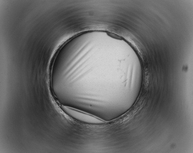 X0000097901088200804041432