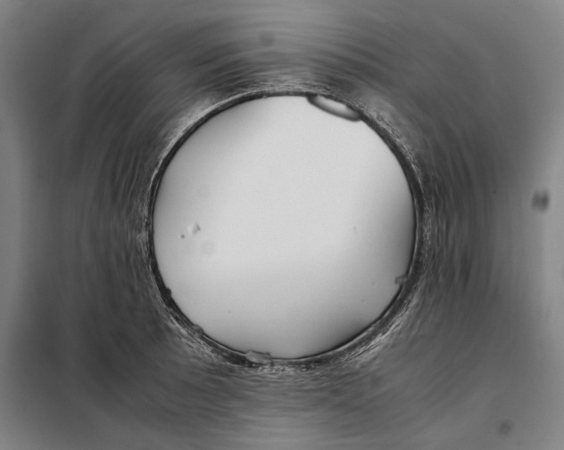 X0000097901089200804041432