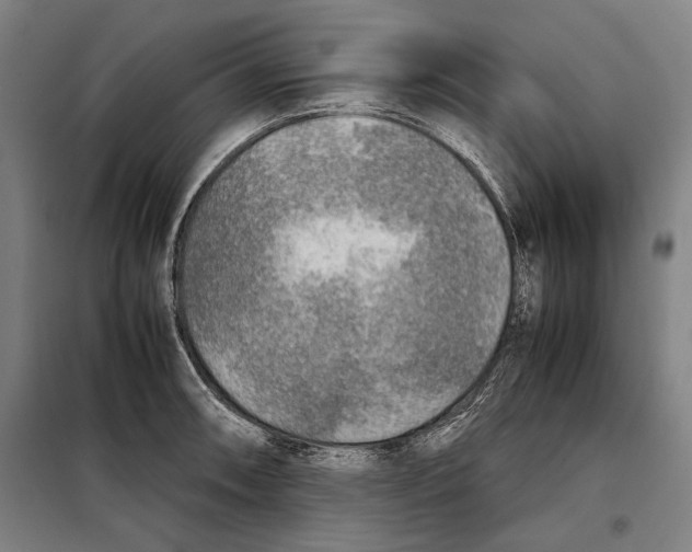 X0000097901090200804041432