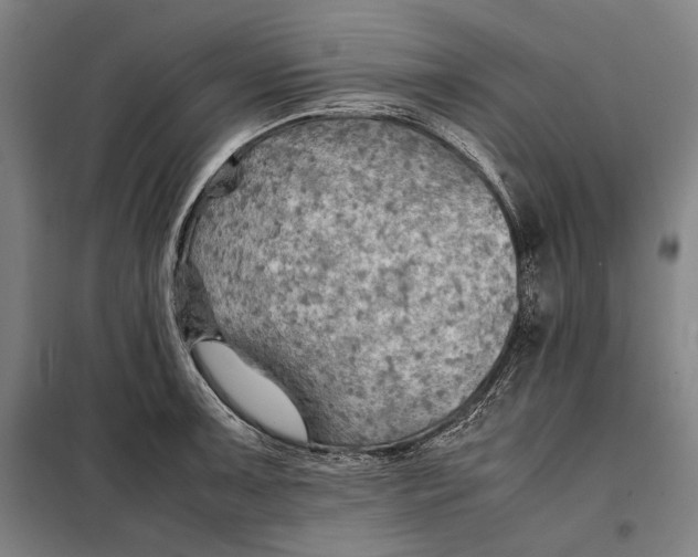 X0000097901091200804041432