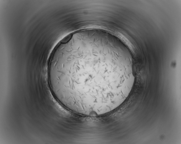 X0000097901092200804041432