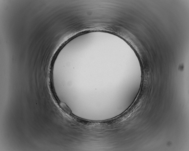 X0000097901093200804041432