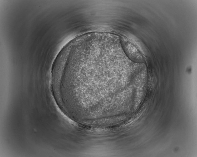 X0000097901095200804041432