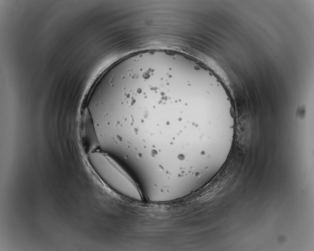 X0000097901096200804041432