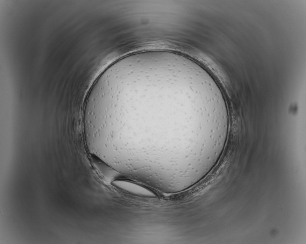 X0000097901097200804041432