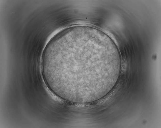 X0000097901098200804041432