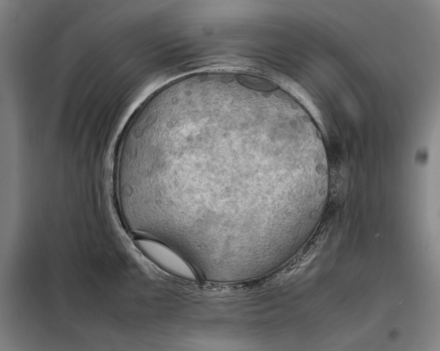 X0000097901099200804041432