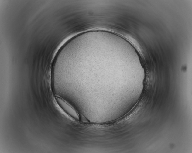 X0000097901100200804041432