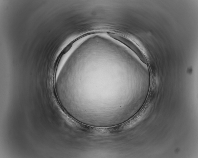 X0000097901101200804041431