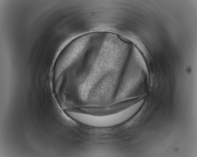 X0000097901102200804041431