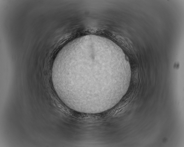 X0000097901105200804041431