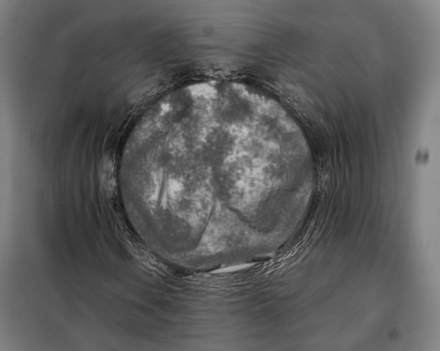 X0000097901106200804041431