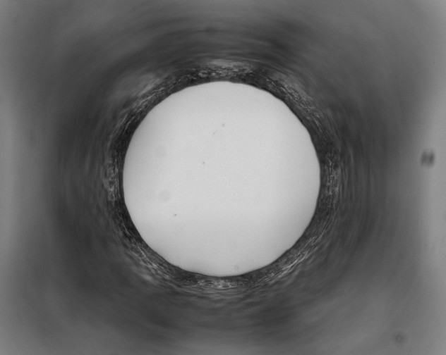 X0000097901109200804041431