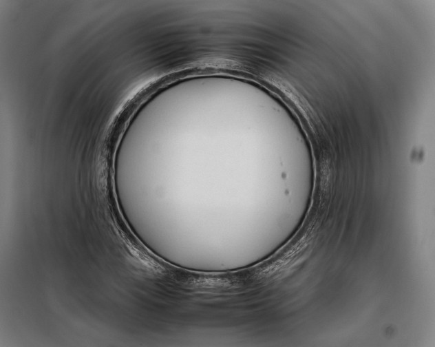 X0000097901115200804041431