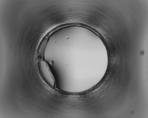 X0000097901118200804041431