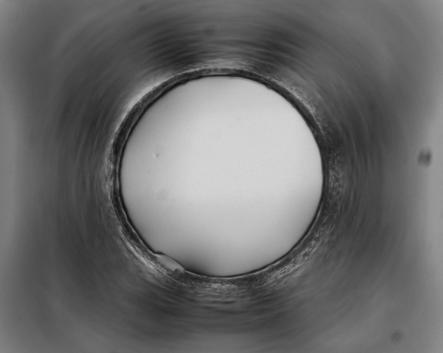 X0000097901119200804041431