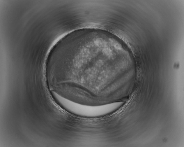 X0000097901120200804041431