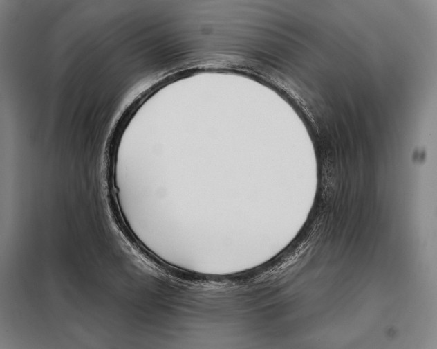 X0000097901122200804041431