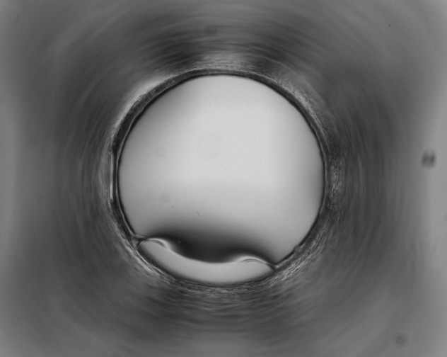 X0000097901123200804041431