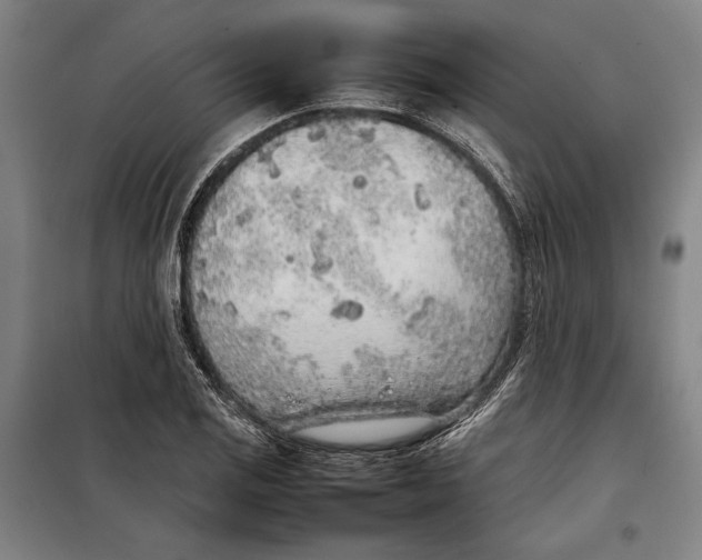 X0000097901125200804041431