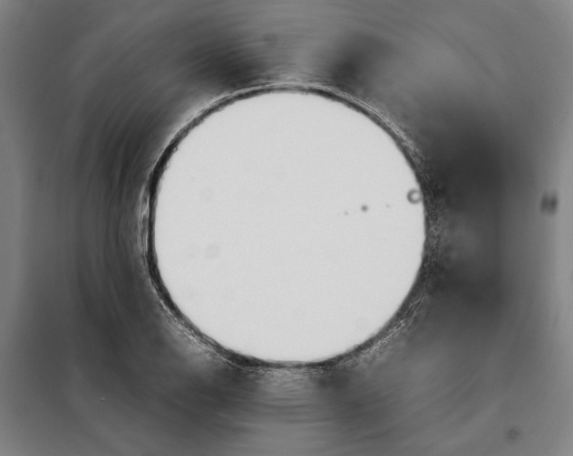 X0000097901126200804041431