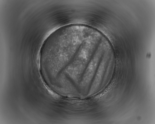 X0000097901127200804041431