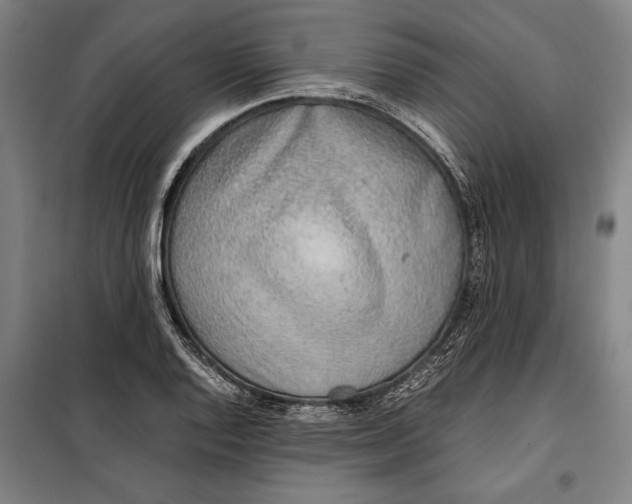 X0000097901128200804041431