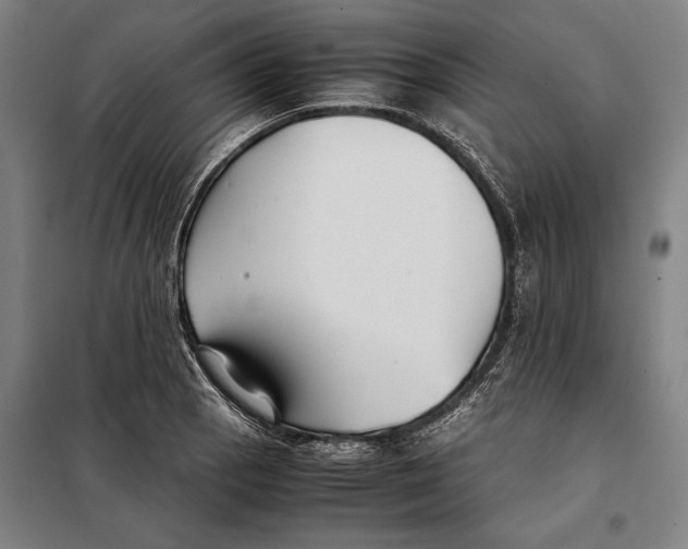 X0000097901129200804041431