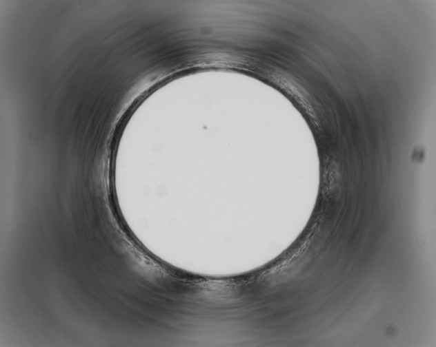 X0000097901130200804041431