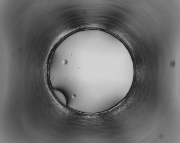 X0000097901133200804041431