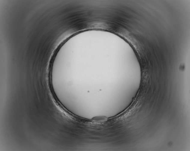 X0000097901135200804041431