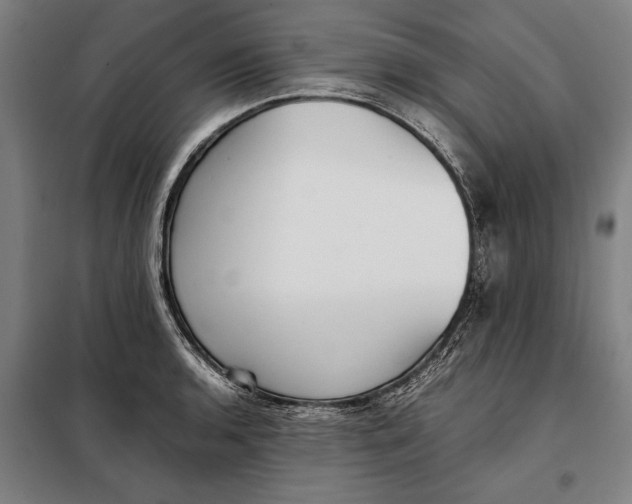 X0000097901136200804041431