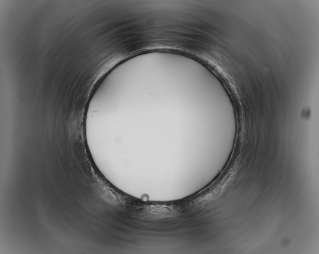 X0000097901137200804041431