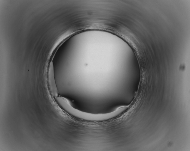 X0000097901138200804041431