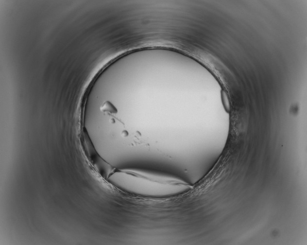 X0000097901140200804041431