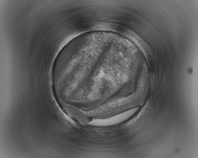 X0000097901141200804041431