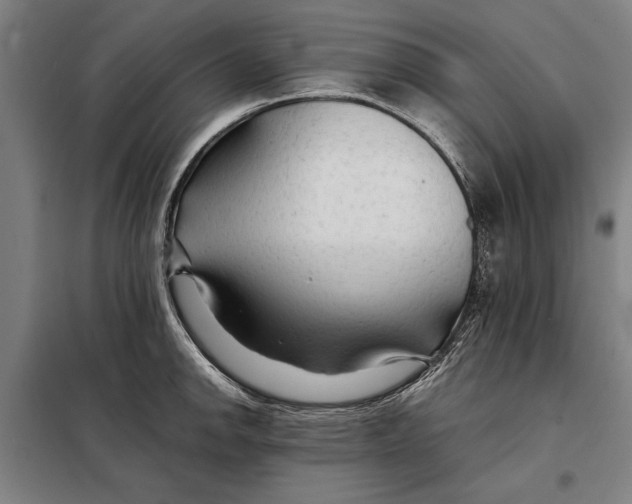 X0000097901142200804041431