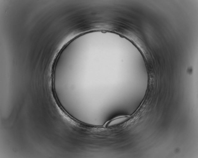 X0000097901143200804041431