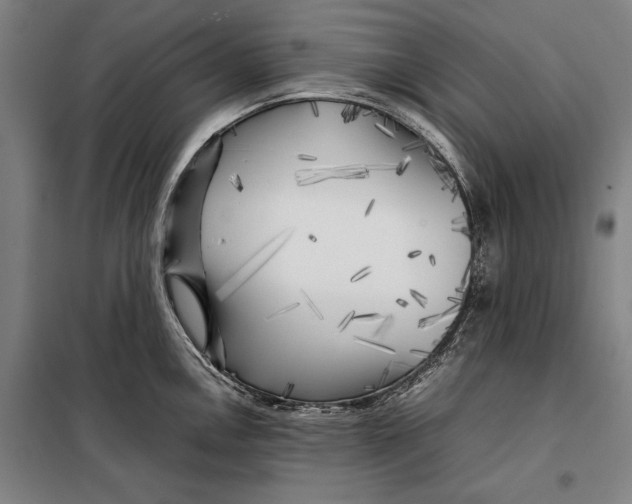 X0000097901146200804041431