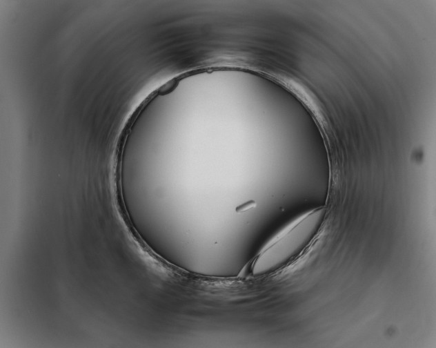 X0000097901149200804041431