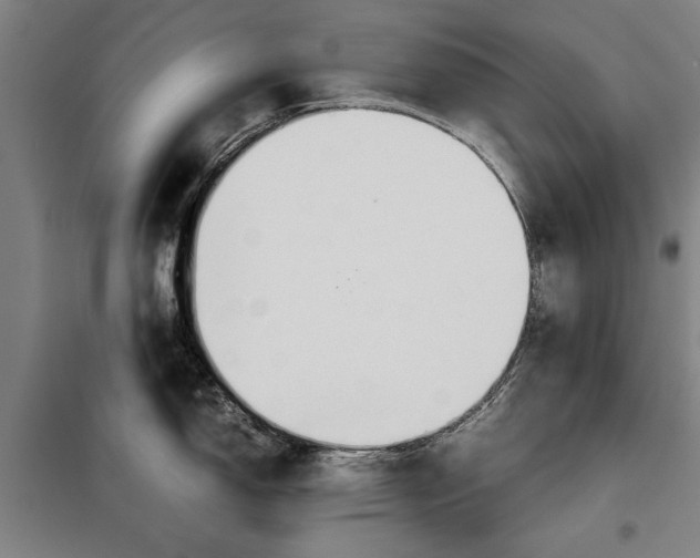 X0000097901150200804041431