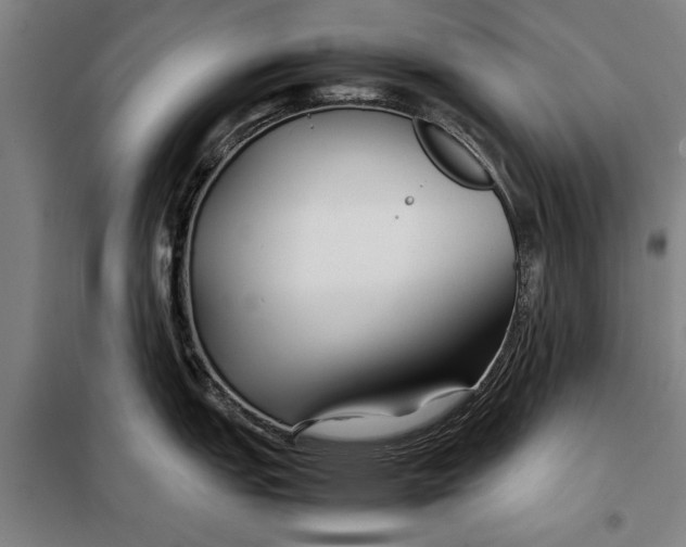 X0000097901151200804041431